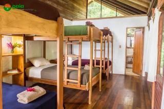 Gaia Amazon Eco Lodge - Ahuano - 4