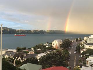 Incredible Views! Luxurious Studio & Outdoor Living - Wellington - 3