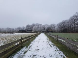 Casaprisco - Putten - 3
