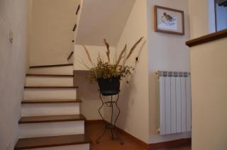 In centro - Montalcino - 3