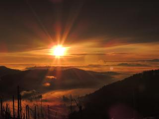 Weingut Albert, Familie Cramer - 1