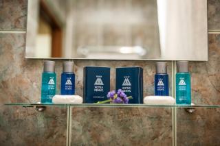 Hemus Hotel Sofia - 1