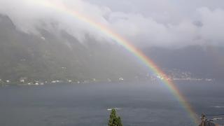 Gli Ulivi di Nesso - Nesso - 6