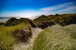 beach road holiday park - Otatara - 5