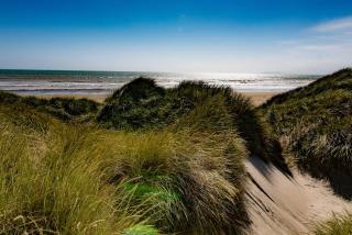 beach road holiday park - Otatara - 2