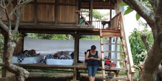 ESA di Kubu Homestay - Singaraja - 0