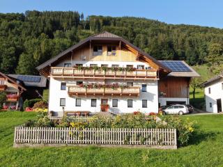Panoramahof Manzberg - Mondsee - 6