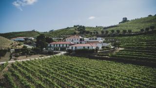 Casal dos Capelinhos - Douro - Santa Marta de Penaguião - 0