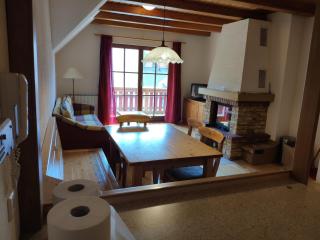 Antela appartments for up to 5 person on Mariborsko Pohorje - 0