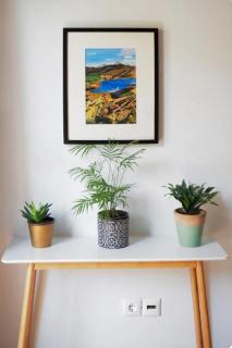 Tiny Studio Suite - 3