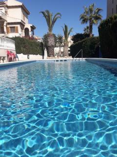 Residencia Alhambra Los Cisnes - Torrevieja - 0
