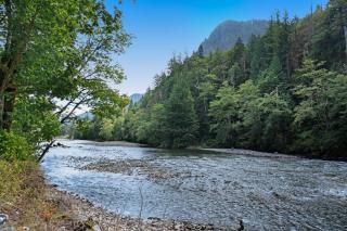 Rustic River Paradise - 1 Bed 2 Bath Vacation home in Baring - Baring - 8