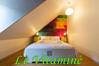APPARTEMENT LE VITAMINE - topbnb dijon - 0