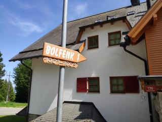 Antela appartments for up to 5 person on Mariborsko Pohorje - Hočko Pohorje - 1