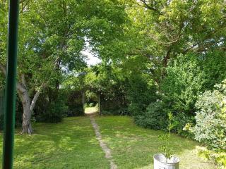 Cute Cottage On Byng - Walk to Town - Orange - 1