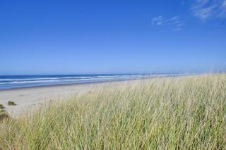 Beauty and the Beach - Waldport - 0