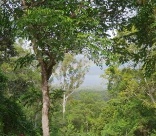 Lovestone Cottages Montville - Montville - 1
