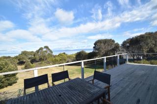Waders - Coles Bay - 5