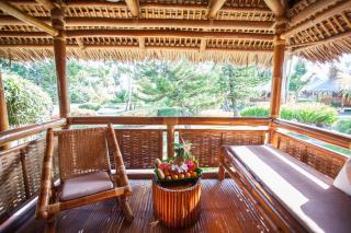 Pura Vida Beach & Dive Resort - 5