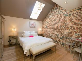 Magnificent character cottage with hot tub - Marche-en-Famenne - 6