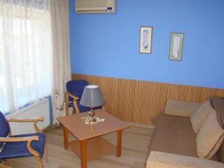 Guest House Uzhgorod - Užhorod - 4