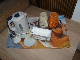 Guest House Uzhgorod - Užhorod - 7