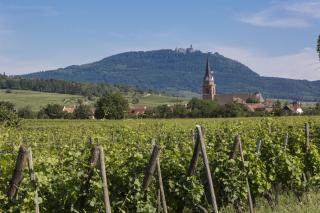 Résidence Odalys Le Domaine des Rois - 7