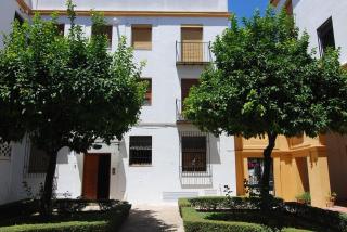 El Rincon de Elena (Garden Apartment) - Jerez de la Frontera - 6