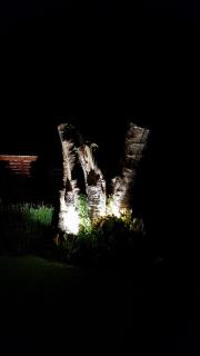 Grandpas Hotel & Restaurante - Cartago - 3