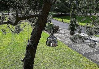 WALDHOTEL - 3