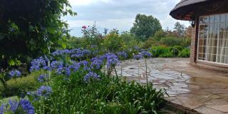Pin Oak Cottage - Underberg - 3