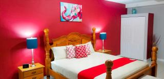 Casa Tamar Guest Apartment - Kingston - 6