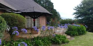 Pin Oak Cottage - Underberg - 4