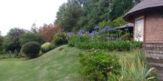 Pin Oak Cottage - Underberg - 7
