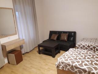 2 bedroom apartment in Chugureti - Tbilisi - 1