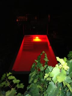VILLA ARTEMIA Maison vigneronne à Sigean - Sigean - 1