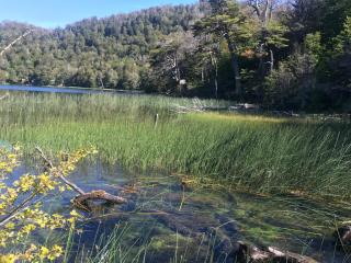 Cabaña Lago Largo - 3