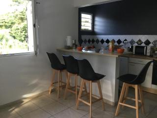 DOUC IRMA - Les Trois-Îlets - 4