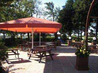 The Treebridge Hotel - 6