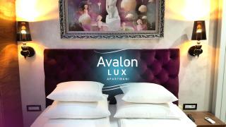 Avalon Lux Studio Apartment - Novi Sad - 4