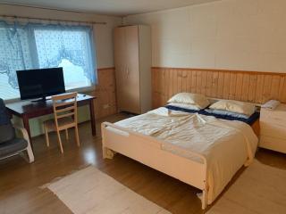Basic Finland house with big garden - Vehmaa - 3