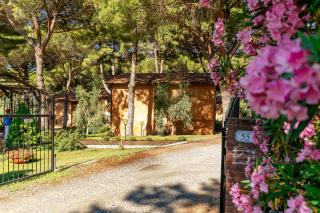Residence Ristorante Il Paradiso - Guardistallo - 5