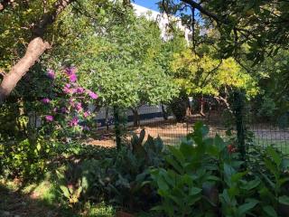 Sabina Apartments - 4