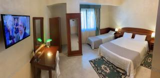 Hotel Ristorante Al Boschetto - Cassino - 6