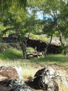 Bakwa Lodge - Rodrigues Island - 8
