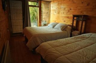 Ruka Antu Ecolodge - Cobquecura - 1