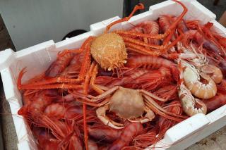 La casa di Ulisse 008055- LT0806 - 1