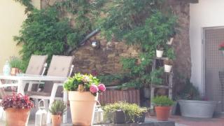 EifelverWeiler - Weiler - 9