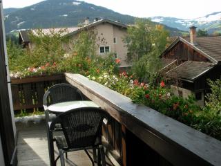 Neukumhof - Westendorf - 6