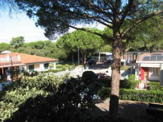 Residence Le Rose - Marina di Bibbona - 1